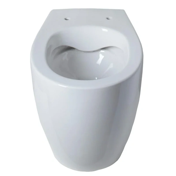 Унитаз напольный Allen Brau Fantasy белый глянец 4.11007.20 (детальная фотография), безободковые, сиденье с микролифтом , с антивсплеском