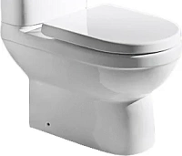 Чаша для унитаза Bravat New Moon