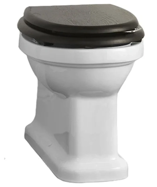 Унитаз напольный Devon&Devon Blues IBWCBLUESBTW (детальная фотография)