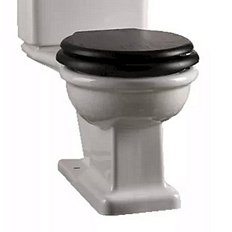 Унитаз под бачок Devon&Devon Etoile