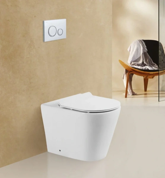 Унитаз напольный BelBagno Flay-R приставной BB1003CBR (детальная фотография), современные, hi-tech, круглые