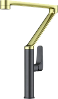Смеситель для кухни Omoikiri Tara-LG-GM светлое золото/вороненая сталь
