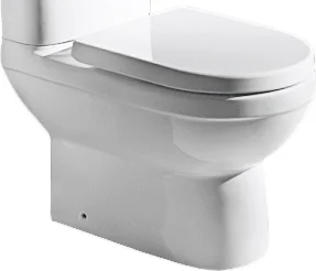 Чаша для унитаза Bravat New Moon CX01019UW-P-RUS (детальная фотография)