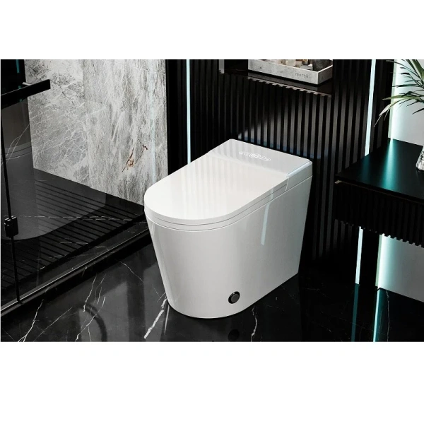 Унитаз напольный Abber Bequem с функцией биде AC1117S (детальная фотография), c функцией биде