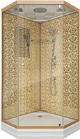 Душевая кабина Niagara Luxe 100x100 см без гидромассажа