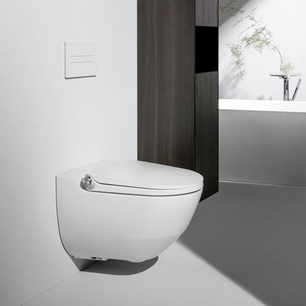 Унитаз подвесной Laufen Cleanet Riva белый матовый 8.2069.1.757.000.1 (детальная фотография), подвесные, встраиваемые