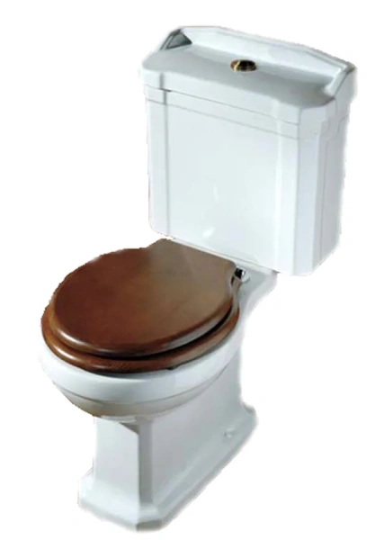 Унитаз под бачок с низкой трубой Azzurra Guinone GIU 100 (детальная фотография)