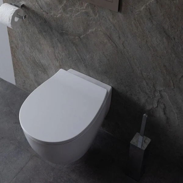 Унитаз подвесной Allen Brau Fantasy со смесителем 4.11HC1.20 (детальная фотография), современные, hi-tech, круглые