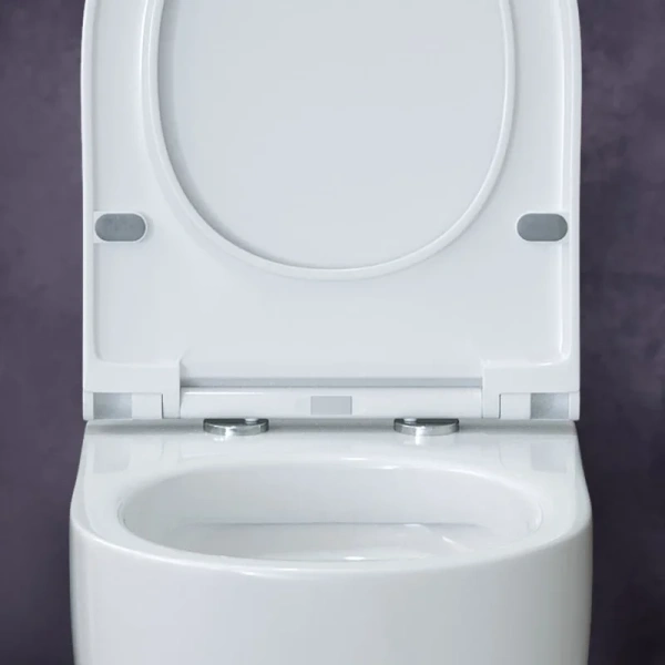 Унитаз подвесной BERGES Ego сиденье дюропласт 082118 (детальная фотография), с микролифтом