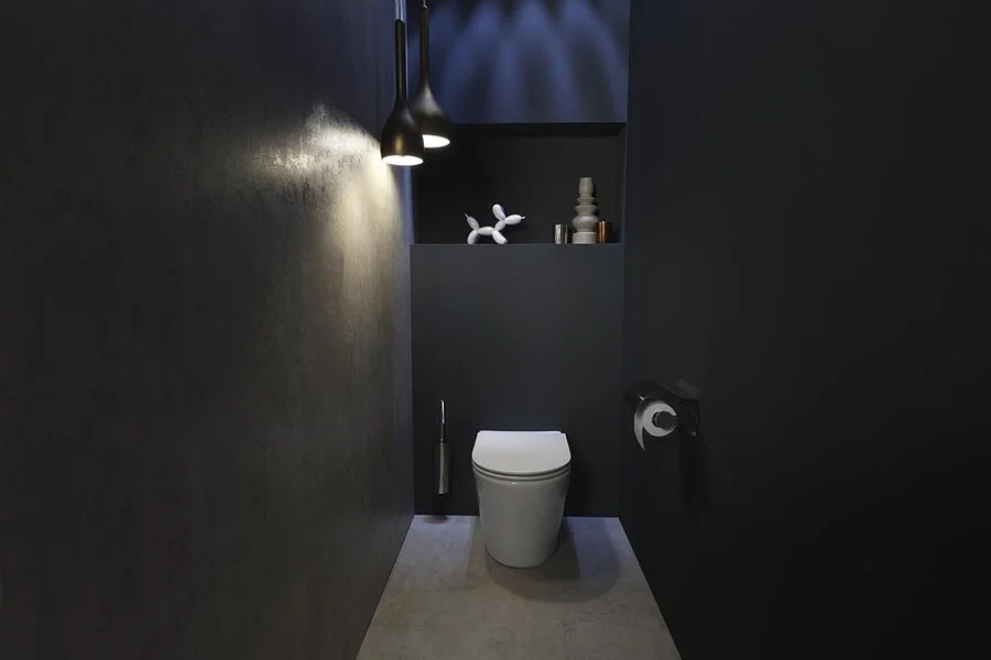 Унитаз напольный Jacob Delafon Rodin+ EDAA102 безободковый (детальная фотография), приставные, встраиваемые