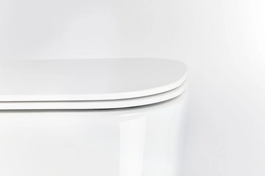 Унитаз с инсталляцией Valsir MEG11PRO с белой матовой клавишей KIT VSWM 5486 Slim P1 (детальная фотография) index_3