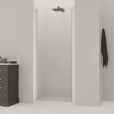 Душевая дверь в нишу RGW Dolphin TN-03 54930309 90 см распашная