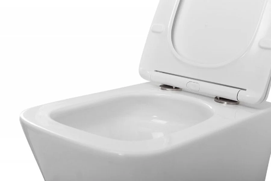 Унитаз подвесной BelBagno Ardente-R безободковый BB520CH-TOR (детальная фотография), в наличии