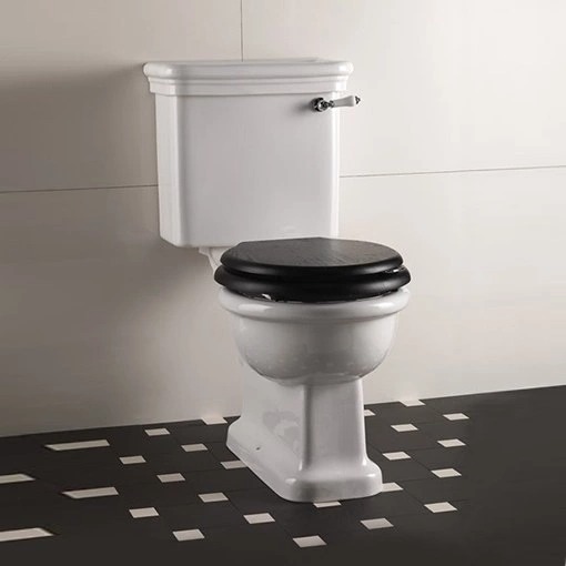 Унитаз под бачок Devon&Devon Etoile IBWCETCM (детальная фотография)