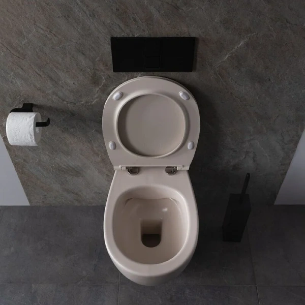 Унитаз подвесной Allen Brau Fantasy айвори 4.11004.IV (детальная фотография) index_1