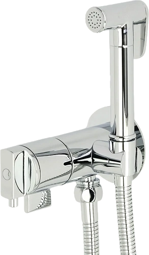 Гигиенический душ со смесителем Migliore Fortis хром - фото 1