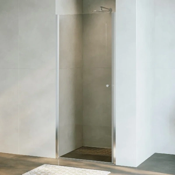 Душевая дверь в нишу RGW Dolphin TN-03 54930308 80 см распашная (детальная фотография), 80 см
