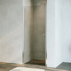 Душевая дверь в нишу RGW Dolphin TN-03 70 см профиль хром, стекло прозрачное