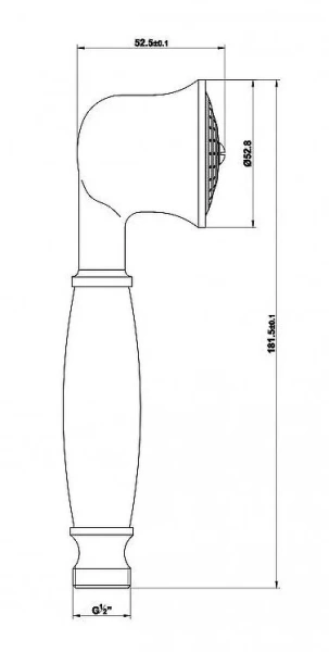 Лейка для душа CEZARES CZR-D1FC2 (детальная фотография), душевые лейки