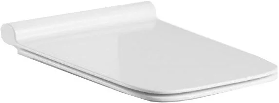 Крышка-сиденье с микролифтом BelBagno Romano быстросъемная BB2112SC (детальная фотография), с микролифтом index_1