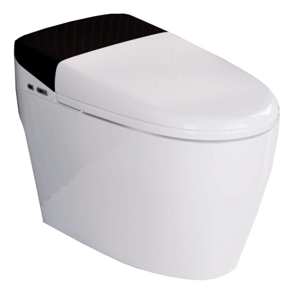 Унитаз напольный RGW SW-31 с функцией биде 63420131-01 (детальная фотография)