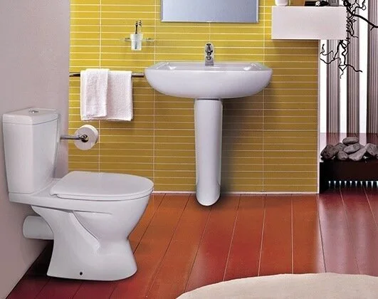 Унитаз компакт Ideal Standard Ecco Eurovit с сиденьем дюропласт, белый W904201 (детальная фотография), с бачком