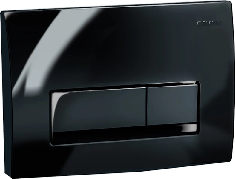 Клавиша смыва Geberit Delta 50 для двойного смыва черный глянец 115.119.DW.1 (детальная фотография), в наличии