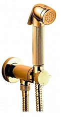Гигиенический душ с смесителем Bossini Nikita Mixer Set золото