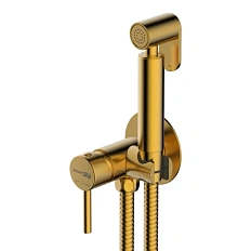 Гигиенический душ со смесителем WasserKRAFT матовое золото