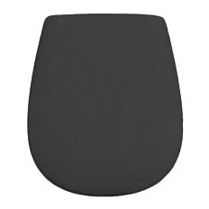 Крышка-сидение с микролифтом ArtCeram Atelier черный матовый, петли хром