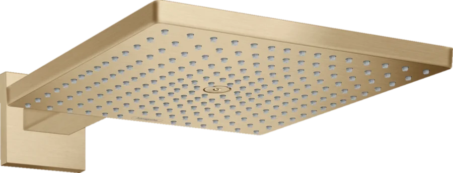 Верхний душ Hansgrohe Raindance E шлифованная бронза 26238140 (детальная фотография)