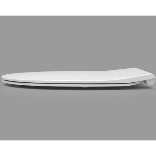 Крышка-сидение с микролифтом Roca Victoria Nord дюропласт ZRU9302919 (детальная фотография) index_1