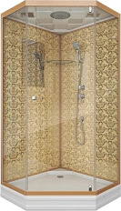 Душевая кабина Niagara Luxe 7701D 90х90 см многоугольная