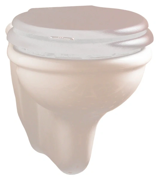 Унитаз подвесной Devon&Devon Etoile IBWCSET, 2IBWCBSET (детальная фотография), в наличии, по запросу