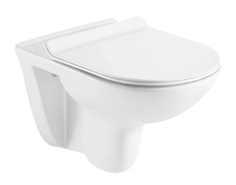 Унитаз подвесной Azario Pavia безободковый AZ-2142 (детальная фотография)