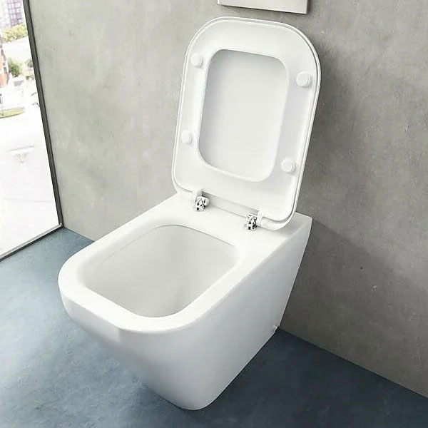 Унитаз напольный Ideal Standard Tonic II с сидением микролифт K317301 (детальная фотография), приставные, встраиваемые