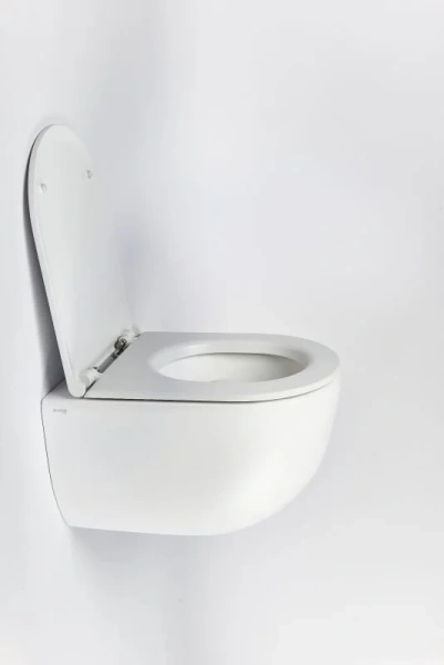 Унитаз с инсталляцией Valsir Dream с клавишей матовый хром KIT VSCrM 7334 Slim P1 (детальная фотография), в наличии index_1