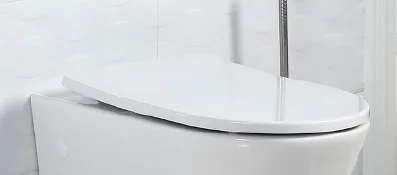 Крышка-сидение с микролифтом BelBagno из дюропласта BB2031SC (детальная фотография), с микролифтом