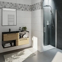 Душевая дверь Riho Novik Z101 GZ1080000 80 см