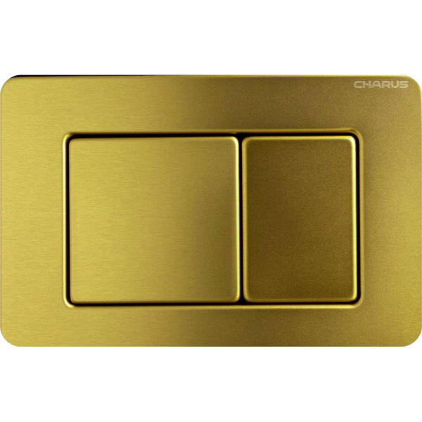 Клавиша смыва Charus Robusto брашированное золото FP.310.BG.05 (детальная фотография)