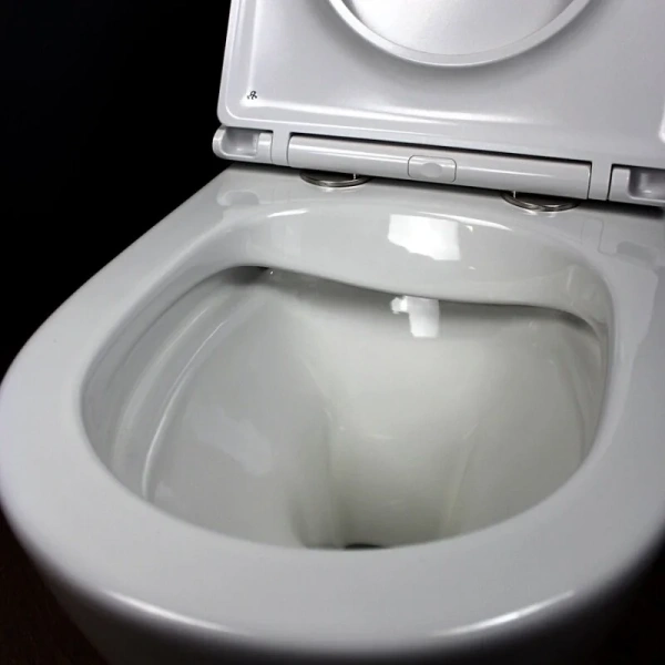 Унитаз с инсталляцией Grohe Rapid SL клавиша хром 39181001 (детальная фотография) index_1