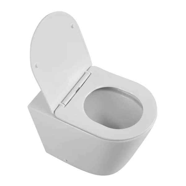 Унитаз напольный BelBagno Flay-R белый BB1003CBR/SC (детальная фотография), современные, hi-tech, круглые