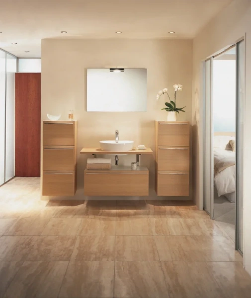 Раковина Jacob Delafon Ove 50 см накладная E1708-00 (детальная фотография), современные, hi-tech