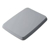 Крышка-сидение с микролифтом Artceram Civitas серая