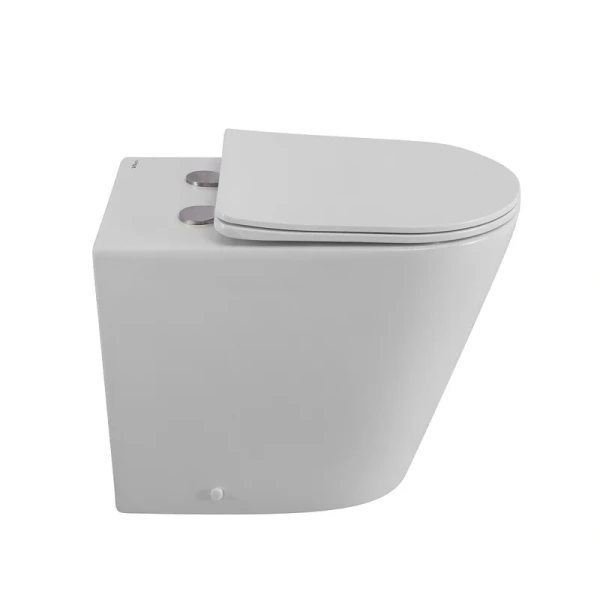 Унитаз напольный BelBagno Flay-R белый BB1003CBR/SC (детальная фотография), приставные, встраиваемые