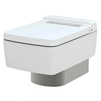 Унитаз подвесной TOTO SG CW512YR