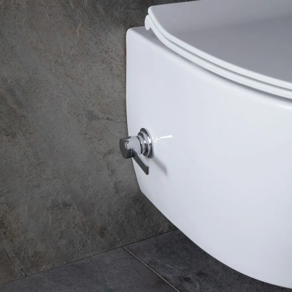 Унитаз подвесной Allen Brau Fantasy со смесителем 4.11HC1.20 (детальная фотография), с горизонтальным, прямым выпуском, с прямым выпуском