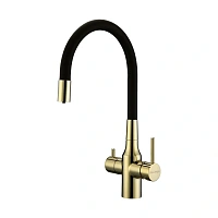 Смеситель для кухни Paulmark Salix золото/черный