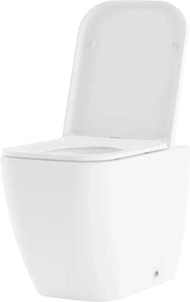 Унитаз напольный Lavinia Boho One с сиденьем микролифт 33020050 (детальная фотография), по запросу