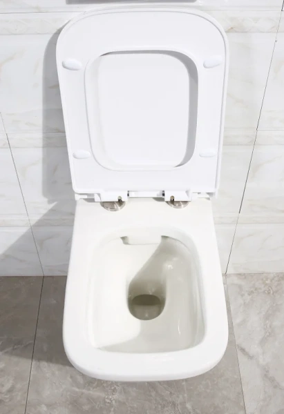 Крышка-сидение BelBagno Dory из дюропласта с микролифтом BB2138SC (детальная фотография), с микролифтом index_1